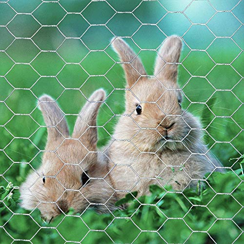 20GA Galvanized 12in x 150ft x 1in Mesh Chicken Wire Hexagonal Poultry Netting - size: 12"x150'