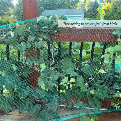 Bird Netting for Garden 6.5 x 100 FT, 1/4 Inch Mesh - size: 6.5×100FT,1/4 In Mesh