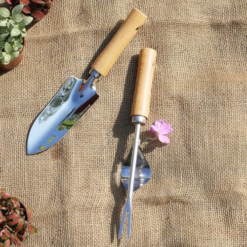 Garden Tool Set, 2 Pieces Stainless Steel Heavy Duty Garden Tools, Garden Kit with Ergonomic Wooden Handle, Durable Garden Tools for Gardening, Gardening Gifts for Women - style: 2PC(Transplanter&Weeder)