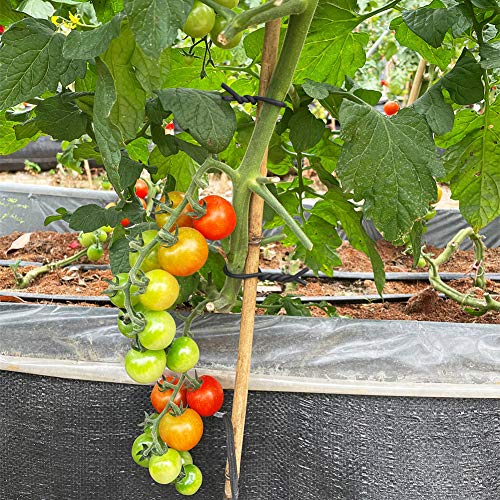 Tenn Well 2Pk 32ft 5mm Plant Ties Soft Garden Wire Black for Tomatoes - color: Black, size: 5mm