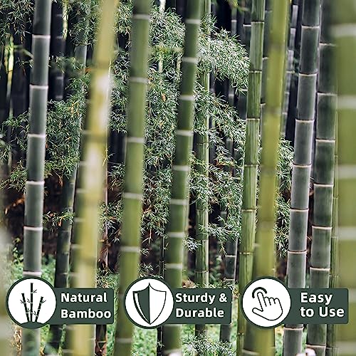 50Pcs / 18 inch Bamboo Plant Stakes for Indoor Outdoor Plants, Garden Plant Support Sticks, Poles for Tomato Vegetables Beans Trees Potted Climbing Plants(0.32''-0.4'') - size: 18 IN 50PCS