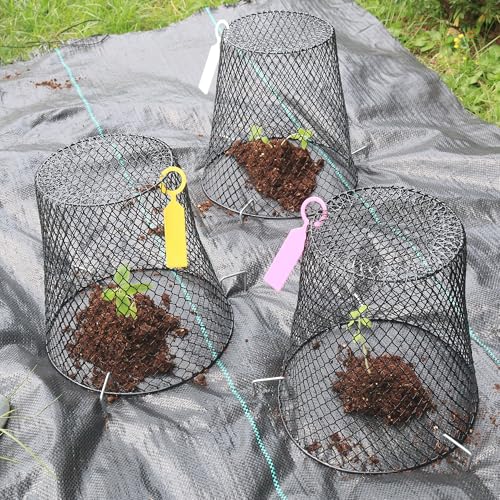 10 Pack 9.2 x 9.2 Inch Chicken Wire Cloche Plant Protectors from Animals - size: 10PCS-9.2"x9.2"