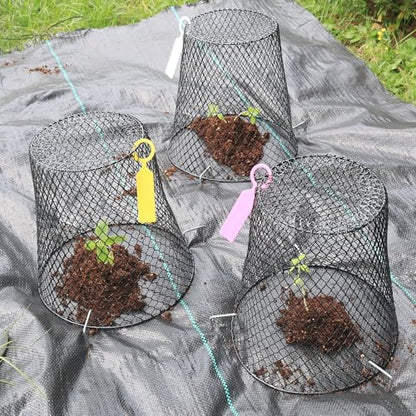 10 Pack 9.2 x 9.2 Inch Chicken Wire Cloche Plant Protectors from Animals - size: 10PCS-9.2"x9.2"
