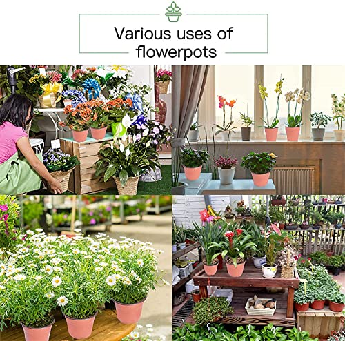 Plastic Planter Nursery Seedlings Pots - 5 Inches 100Pcs Flower Plant Container Seed Starting Pot for Outdoor Succulents Seedlings Cuttings Transplanting - size: 5 x 5 x 4 in