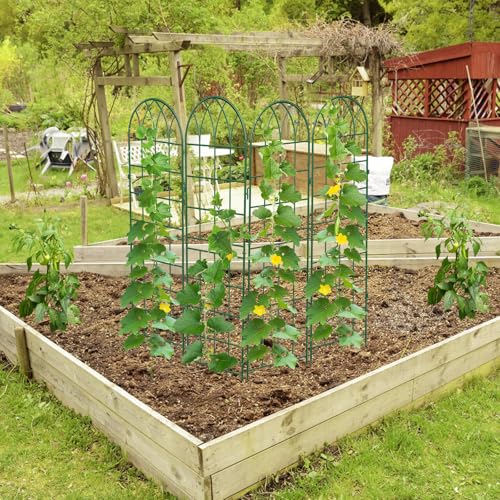 DoCred 4 Pack Garden Trellis for Climbing Plants, 59 Inch Metal Trellis - color: Green, size: 59''H x 16''W/4 Pack