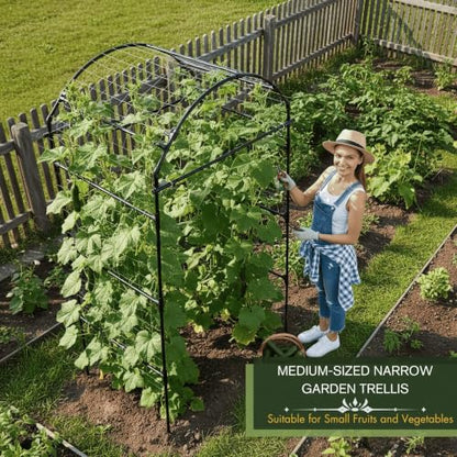 79" Tall Metal Cucumber Trellis Arch Sturdy Frame for 4FT Raised Garden Bed - size: 33"L x 33"W x 79"H