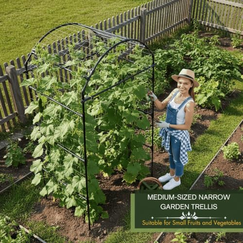 79" Tall Metal Cucumber Trellis Arch Sturdy Frame for 4FT Raised Garden Bed - size: 33"L x 33"W x 79"H