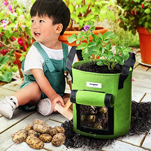 Sungmor 3PC Large Fabric Pots, 10 Gallon Non Woven Planters