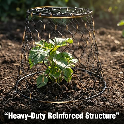 DHAMPOOH Garden Cloches for Plants, Outdoor Plant Protectors, 4 Pack - size: Pack of 4