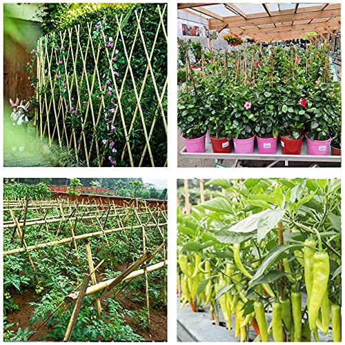 Cambaverd Bamboo Sticks for Plants 2 Feet Bamboo Stakes for Indoor Gardening Plant Stakes Supports Potted Plants Mini Trees Garden Stakes - Pack of 30 Bamboo Poles - size: 2FT-30PACK