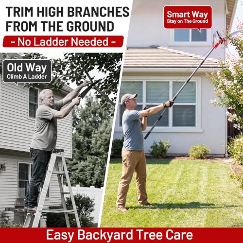 Suchtale 14FT Pole Tree Pruner for High Branch Trimming with Saw - size: 14FT