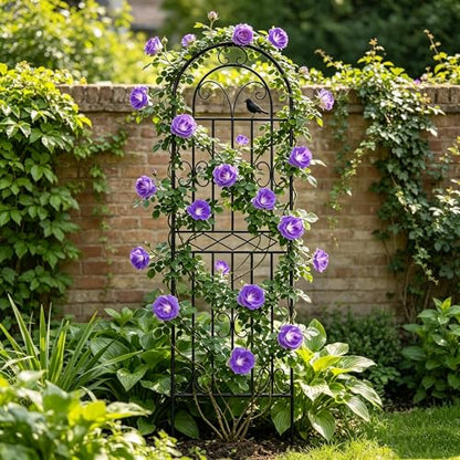 1 Pack 47.2"x19.7" Metal Gardon Trellis for Climbing Plants Outdoor, Black - size: 1P: 47.2" H x 19.7" W