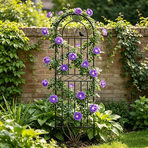 1 Pack 78.7"x19.7" Metal Gardon Trellis for Climbing Plants Outdoor,Black - size: 1P: 78.7" H x 19.7" W