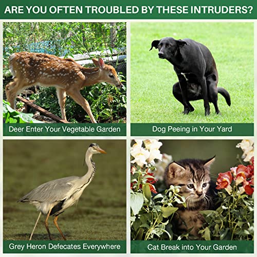Animal Repellent Outdoor,Solar Pest Animal Repellent Outdoor,Squirrel Repellent,Racoon Repeller,Effective Deer Repellent Devices with Motion Sensor & Flashing Light for Yard Garden-Green（1 Pcs）