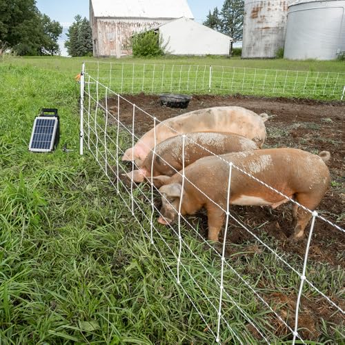 Premier 1 Pig QuikFence® Electric Fence for Pigs – 30"H x 100'L