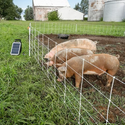 Premier 1 Pig QuikFence® Electric Fence for Pigs – 30"H x 100'L