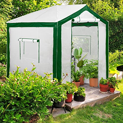 EAGLE PEAK 8x8 Walk in Pop Up Greenhouse, Green/White - color: Green/White, size: 8x8