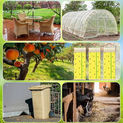 10 Rolls Sticky Fly Trap 30 ft Each, Fluorescent Yellow, Green Lines - color: Fluorescent Yellow with Green Lines