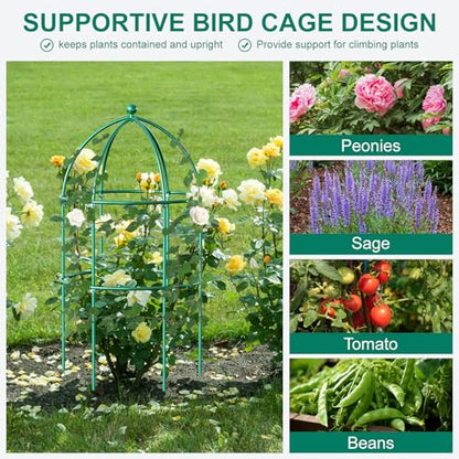 DoCred 6 Pack Peony Cage, 15.7" x 31.5" Metal Plant Support Garden Trellis - size: 31.5"H x 15.7"W/6PC
