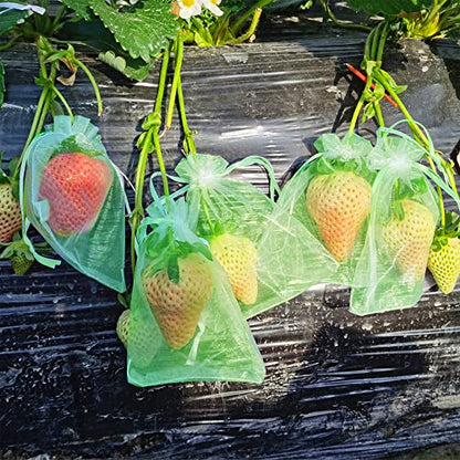 6x8 Inch 100 Pieces Green Fruit Protection Bags- Fruit Netting Bags with Drawstring,Garden Fruit Cover Mesh Bag to Protect Plants from Pest Birds Squirrels - color: Green, size: 6 x 8 Inch