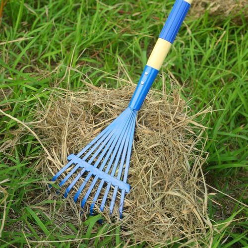 Kids Rakes with Hardwood Handle - Metal Kids Leaves Rakes, 28" Child Size Lawn Rakes with Vibrant Blue Heads, Garden Tool Set for Kids Boys and Girls - color: Blue