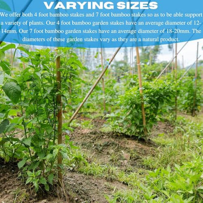 VBS - Bamboo Garden Stakes - Bambo Sticks, Bamboo Plant Stakes for Outdoor Plants, Plant Support Stakes for Indoor Plants (7 Foot - 20 Pack) - size: 7 Foot - 20 Pack