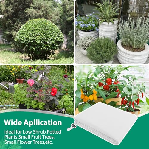 4 Pack Shrub Plant Covers Freeze Protection for Winter, 39.4"X39.4", White - size: 4PCS-39.4" X 39.4"-White