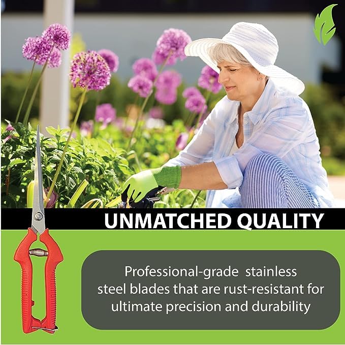 GARDEN GURU Extra Long Stainless Steel Pruner Pruning Shears Clippers Snips – Sharp Bonsai Cutter Trimming Scissors – Straight Blade Garden Scissors Tool – Great for Flowers Herbs - 1 Case (50 Pcs) - size: 50 Pack, style: Long Blade Snips
