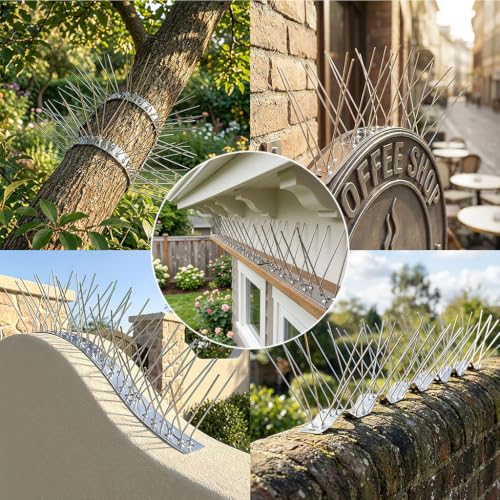 Bird Spikes Install,304 Stainless Steel Bird Deterrents Spikes for Outside to Keep Birds Away Bird Scare Devices Outdoor (60, Black) - color: Black