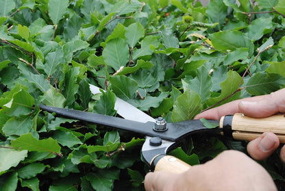 Okatsune Precision Hedge Shears 6" Blade, 20" total length - size: 6"
