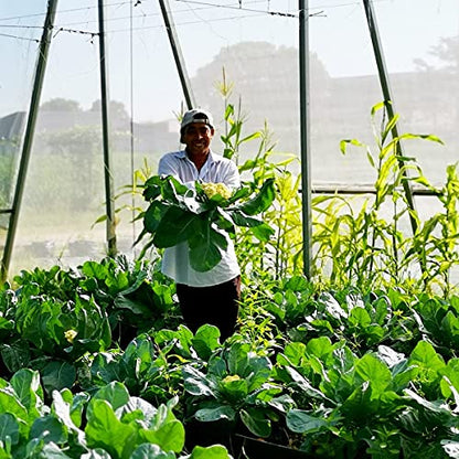 Garden Netting Pest Barrier: 10'x100' Fine Bug Netting - size: 10'x100'