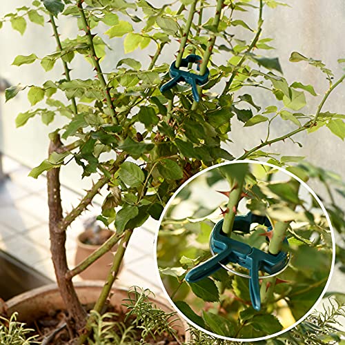 PERSZEN Plant Support Clips, 120 PCS Gentle Flower Plant Clamps for Supporting Vine Climbing Plants, Gardening Lever Loop Gripper Clips Help Stems Vines Grow Straight Upright, 2 Sizes in one Pack - size: 120