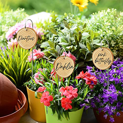 Temlum Wooden Plant Labels for Indoor & Outdoor Plants, 25pcs - color: Wood 25pcs