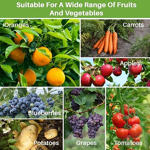 Sukh Bird Netting for Garden Protection - 3 PCS Blueberry Bush Netting, 2.3 x 3.3 FT
