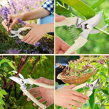 Therwen 12 Pcs Garden Shears Flower Scissors Pruning Shears Floral Garden Clippers Hand Pruners Branch Cutter Gardening Tools for Plants Cutting, Trimming, Fruits Picking (Beige,Bypass) - style: Beige, Bypass