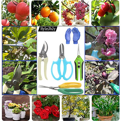 Garden Pruning Shears Garden Scissors Herb Scissors Florist Scissors Floral Snips Bonsai Scissors Hand Pruner with Gardening Gloves,Stainless Steel Straight Tip and Curved Blades,Green+Blue
