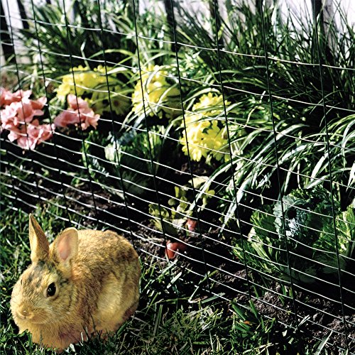 YARDGARD – 4 in. to 1 in. Mesh Welded Wire Fence – 28 in. x 50 ft. 16‑Gauge Vinyl Coated Galvanized Steel – for Rabbit Fencing | Garden Protection | Tree and Flower Barriers