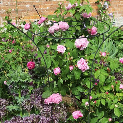 1 Pack Large Peony Cages and Supports, 38" H x 19" D Tall Heavy Duty 5mm Black Metal Garden Stakes for Outdoor & Indoor Plants, Sturdy Rust-Resistant Frame for Peonies Roses Flowers - size: 1 Pack