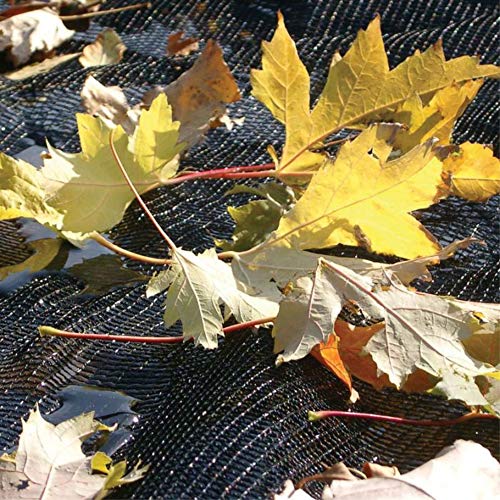 Doheny’s Professional Grade Leaf Nets for Above Ground Pools – 21' x 41' Oval – Makes Clean-Ups Fast – Lightweight, Versatile & Durable – Keeps Leaves Out - size: 41' x 21' (Oval)