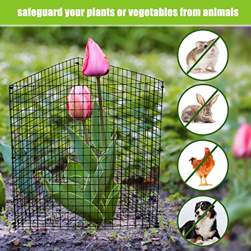 Zubebe 20 Pack Plant Protectors from Animals, Plant Cages, 12 x 12 Inch - size: 12 x 12 Inch