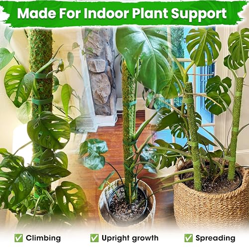 DUSPRO 42" Mesh Moss Pole for Climbing Plants, Pre-Made & Easy to Set Up - size: 42"