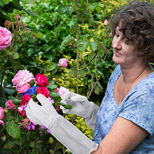 Rose Pruning Gloves for Men and Women. Goatskin Leather Gardening Gloves - color: White-l
