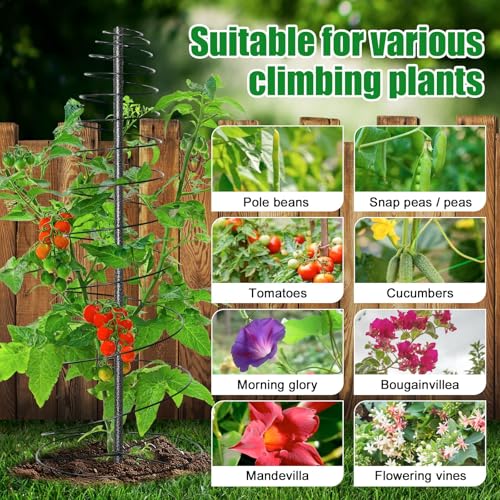 Spiral Frame Trellis for Climbing Plants Outdoor -72" Tall Heavy Duty Metal Garden Plant Tower Support with Anti-Tip Center Pole,for Pole Bean,Berry,Cucumber,Sweet Peas,Clematis,Potted Plants,Vines - size: 12 to 72"