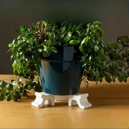 3D Printing Garden Pot Feet 3 Pcs Plant Pot Lifters 2.48 Inch Long 3.9 Inch Tall Handmade Flower Pot Risers Proof Supports for Outdoor Planters Black - color: Black