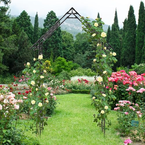 Garden Arch Trellis -48" L *98" H，Gothic Abor Trellis with Reinforced Frame - size: 48(L)*98(H)*16(W)inch-20MM