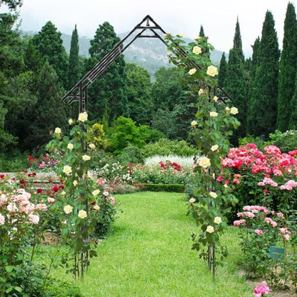 Garden Arch Trellis -48" L *98" H，Gothic Abor Trellis with Reinforced Frame - size: 48(L)*98(H)*16(W)inch-20MM