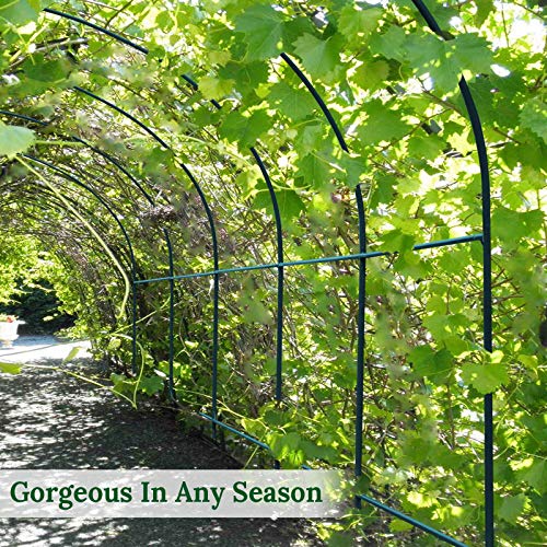 Multi-Size Large Garden Support Arch Frame Climbing Plant Arch Arbor for Flowers/Fruits/Vegetables (9.8ft x 7ft x 7.2ft) - size: 9.8 ft x 7 ft x 7.2 ft