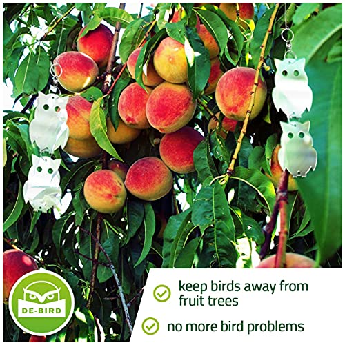 De-Bird Acrylic Reflective Owl Decoys - Sunlight-Activated Owl Reflectors to Scare Birds Away - Crow Deterrent for Patio & Garden - Outdoor Hanging Bird Scare Decoys - 8-Pack, Silver