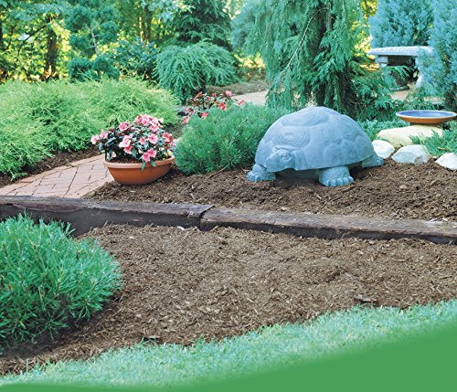 Darwin the Galapagos Turtle Hose Hider & Garden Tool Storage Statue - 100 Foot Hose Capacity - Patina Finish - style: Turtle Without Hose Reel
