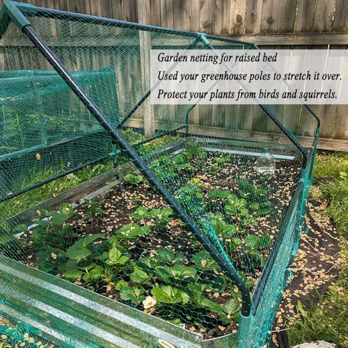 Bird Netting for Garden 6.5 x 100 FT, 1/4 Inch Mesh - size: 6.5×100FT,1/4 In Mesh